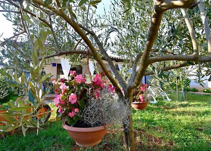 Appartement Garden In